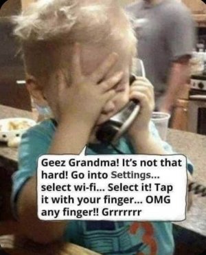 454272954_7964265603622110_3988681752989245774_n.jpg