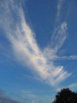 sky 8-10-24.jpg