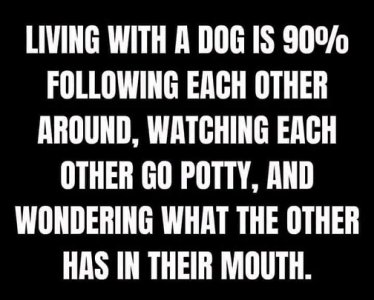 living with dogs.jpg