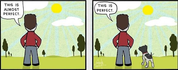 perfect.jpg
