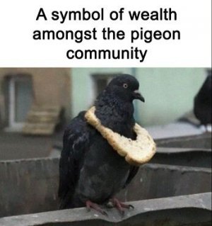 funny-bird-jokes-fb21-png__700.jpg