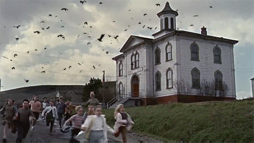 fac42dea63bac72fe3f3e47511dd210e.gif