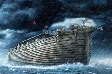 ark.jpg