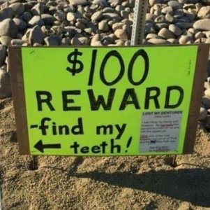 findmyteeth.jpg