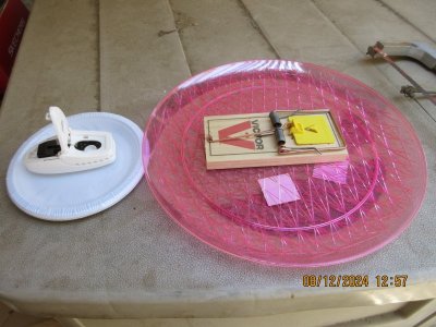 IMG_4761.JPG