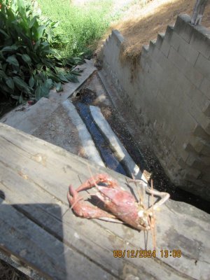 IMG_4763.JPG