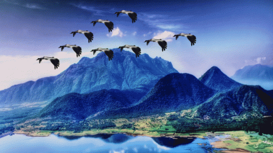 583c83e8adf43a27a771df8f5fa44cbd.gif