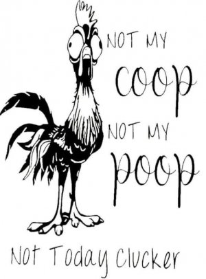 4b5845e3a604034d6d5f3d13ceb85b16.jpg