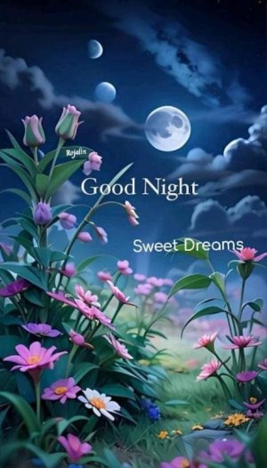 431672134_good night jb202773428669475549_2267710377810401392_n.jpg