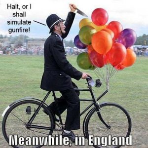 british cop.jpg