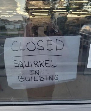 closedforsquirrel.jpg