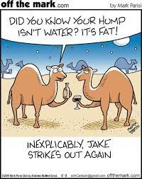 humpisfat.jpg