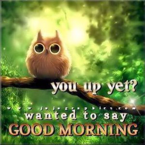 dd6855f709d183f1df36d8bb249c6825[1].jpg
