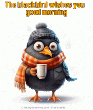 en_202401300053380.blackbird-coffee.gif