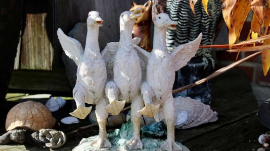ducks.jpg
