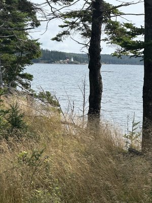 IMG_5502.jpeg