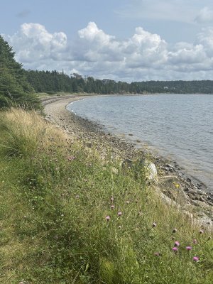 IMG_5503.jpeg