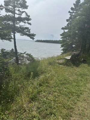 IMG_5504.jpeg