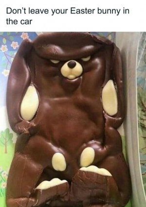 carbunny.jpg