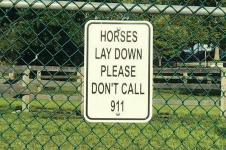 sign.jpg
