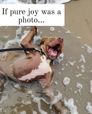 pure joy.jpg