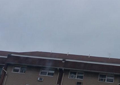 20240817_065302.jpg