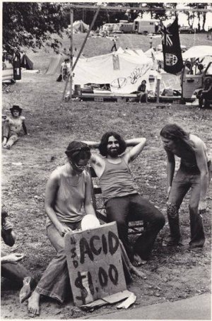 hippy acid meme.jpg