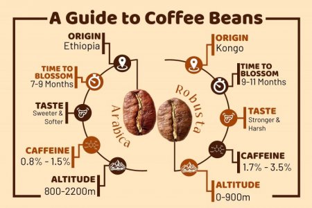 A_guide_to_Coffee_Beans_5.jpg