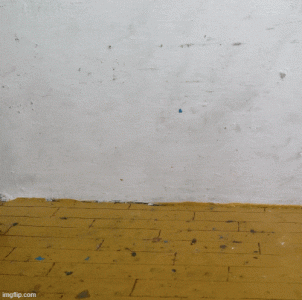 cane-.gif