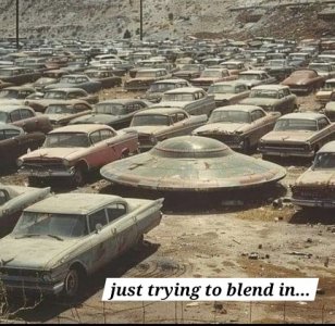 blend in.jpg