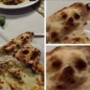 puppy.jpg