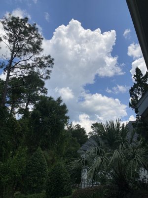 IMG_2371.jpeg