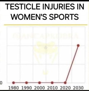 Testical Injury.jpg