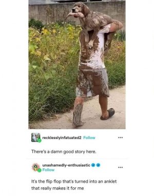 animal1.jpg