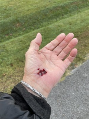 IMG_1996.jpeg IMG_1996.jpeg