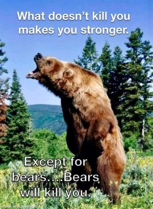 FB_IMG_1724209298953.jpg