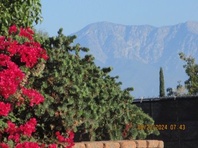 IMG_4750.JPG