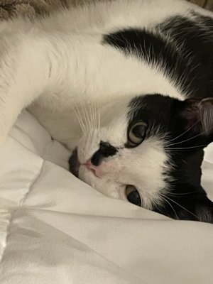 IMG_1471.jpeg