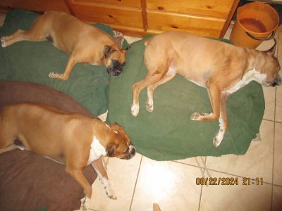 IMG_4793.JPG
