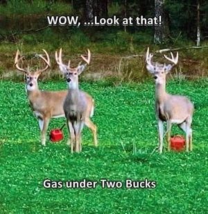 IMG_8630.jpeg