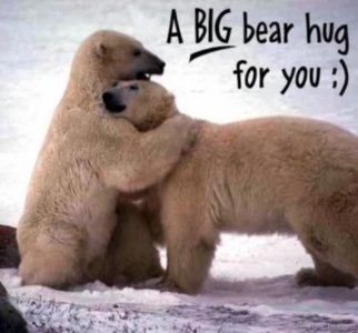 BEAR HUG.jpg