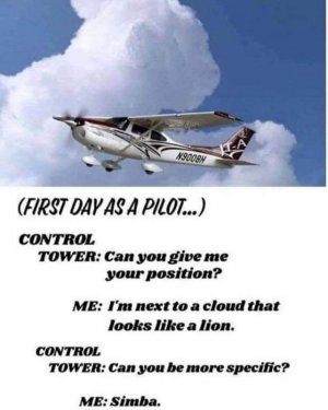 IMG_8633.jpeg