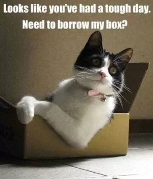 Funny-Animal-Pictures-That-Will-Make-Your-Day-029.jpg