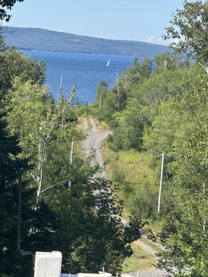 IMG_5482.jpeg IMG_5482.jpeg