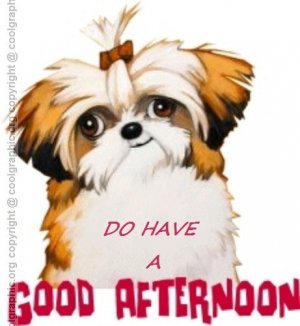 good_afternoon_comment_graphic_03gif.jpg