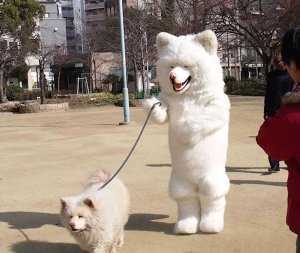dog.jpg