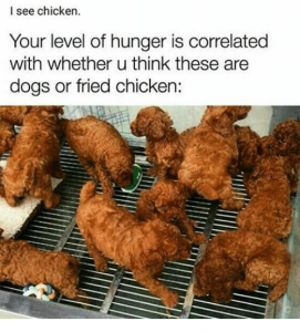 i-see-chicken-your-level-of-hunger-is-correlated-with-12773851.png
