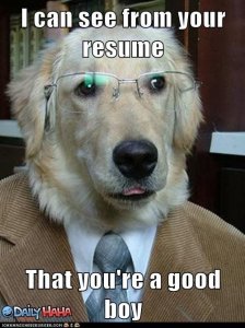 good boy.jpg