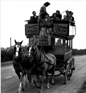 omnibus.jpg