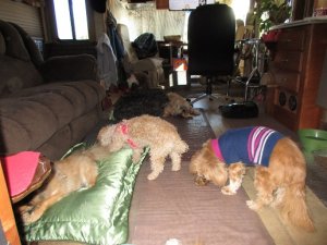 IMG_0381.JPG